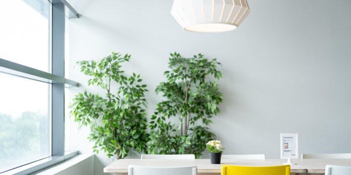 Rumah dengan Konsep Green Living, Tren Hunian Masa Kini