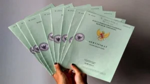 peran notaris PPAT properti